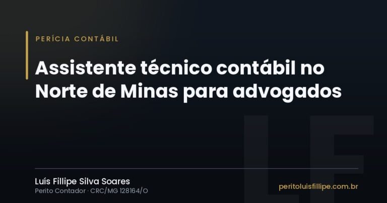 Capa do artigo: Assistente técnico contábil no Norte de Minas para advogados